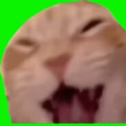 Skarmoy