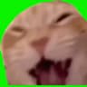 Skarmoy