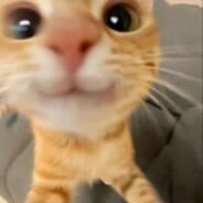 george