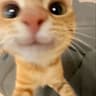 george