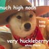 lil doge