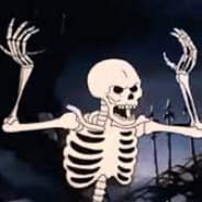 The Skeleton