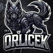 ORLICEK