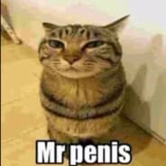 penis’