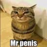 penis’