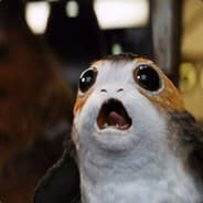 Porg 3