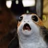 Porg 3