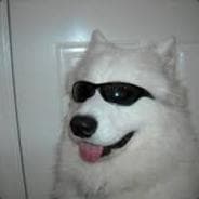 Håvardinho