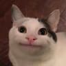 Kvensy