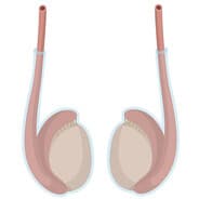 TelOrku Duo