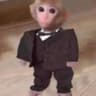 Imaginary Monke