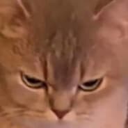 Jsh