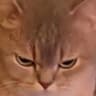 Jsh