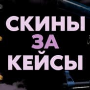 FlOPPy (Меняю скины н