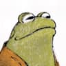 VLN ZikuSuperFroggy