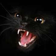 meow