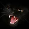 meow