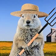 NiceGopher