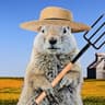 NiceGopher