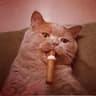 Fat_Cat