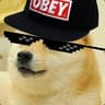 N1N7A