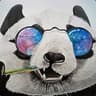 King Panda ♕