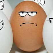 White Eggs