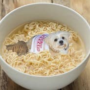 NOODLE BORK
