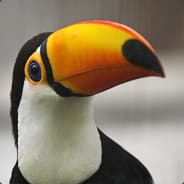 Jameskii