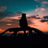 justenjoy