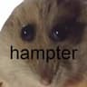 hampter