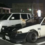 midosodo