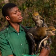 i hate monkeys