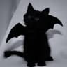 catty