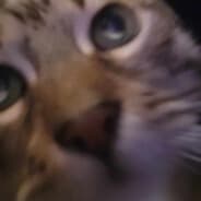 twitch.tv/yonksi