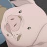 Piggy
