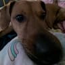 CeJot