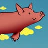 FlyPig
