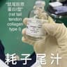 鼠尾胶原蛋白I型