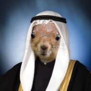 Scheichhörnchen