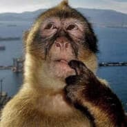 im Curious George #ROT42 - Topic