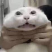 Khaotic