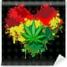 Mr.Jooint420