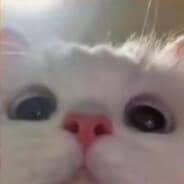 MaksYtka