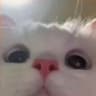 MaksYtka