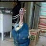 indukSadist