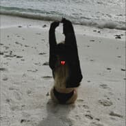 YaKrutish