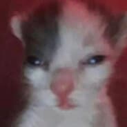 Bro