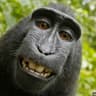 GEORGEofJUNGLE
