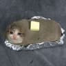 Almond